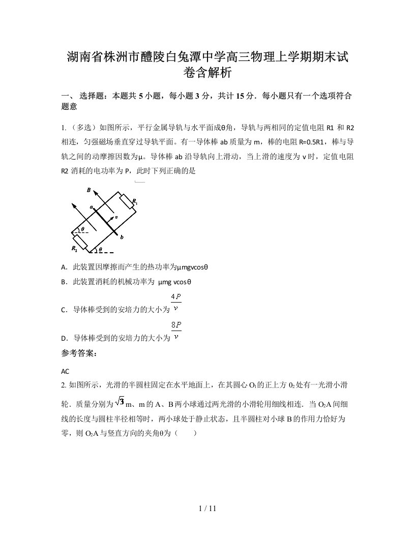 湖南省株洲市醴陵白兔潭中学高三物理上学期期末试卷含解析