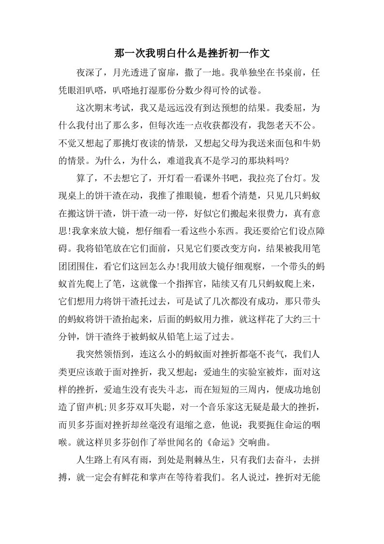 那一次我明白什么是挫折初一作文