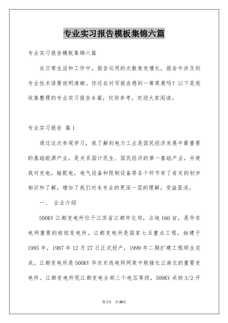 专业实习报告模板集锦六篇优质