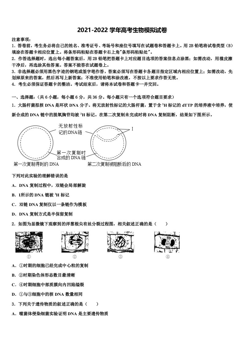 云南省大理新世纪中学2021-2022学年高三一诊考试生物试卷含解析