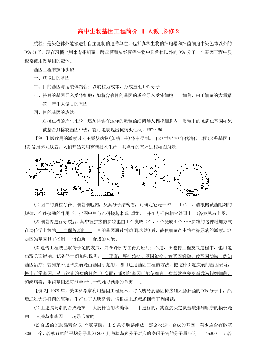 高中生物基因工程简介