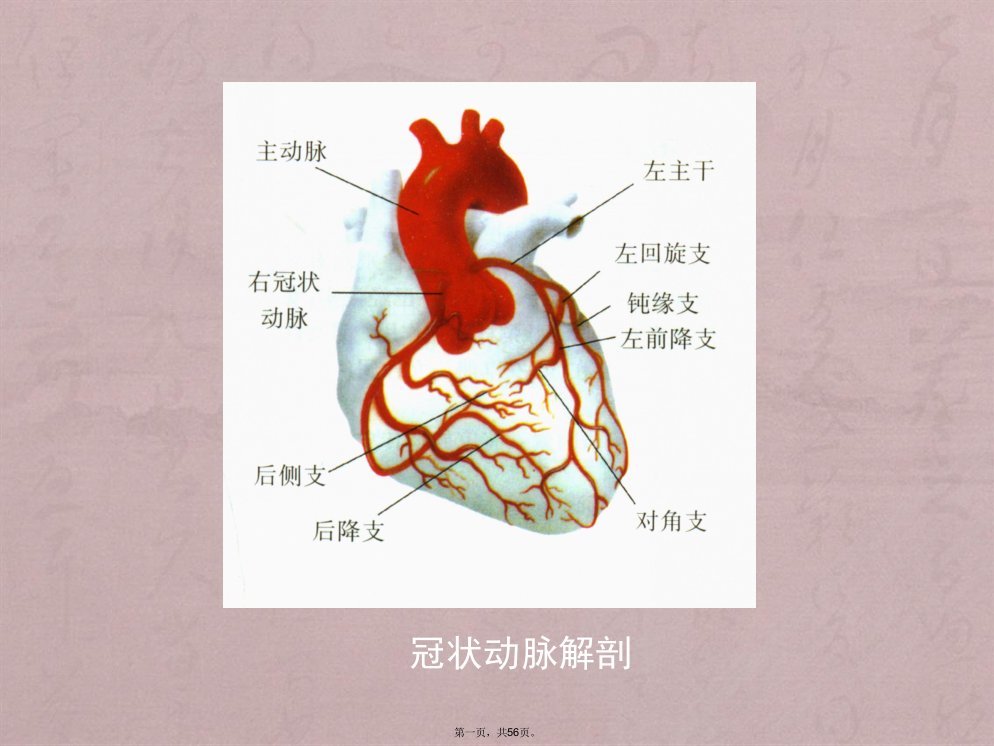 围术期心肌缺血的处理