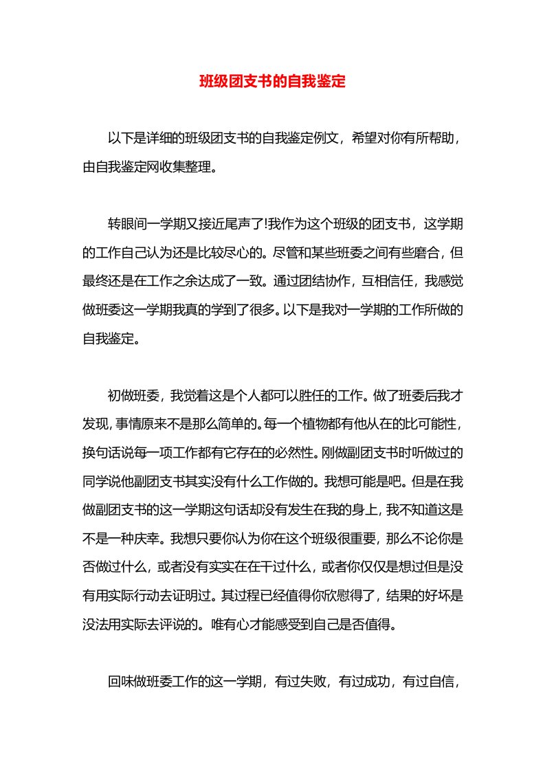 班级团支书的自我鉴定