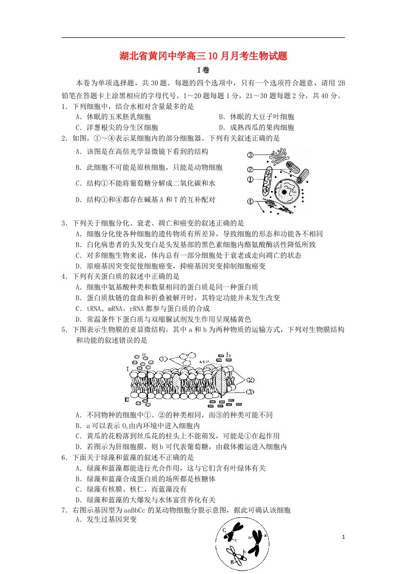 湖北省黄冈中学高三生物10月月考试题