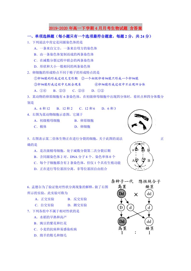 2019-2020年高一下学期4月月考生物试题