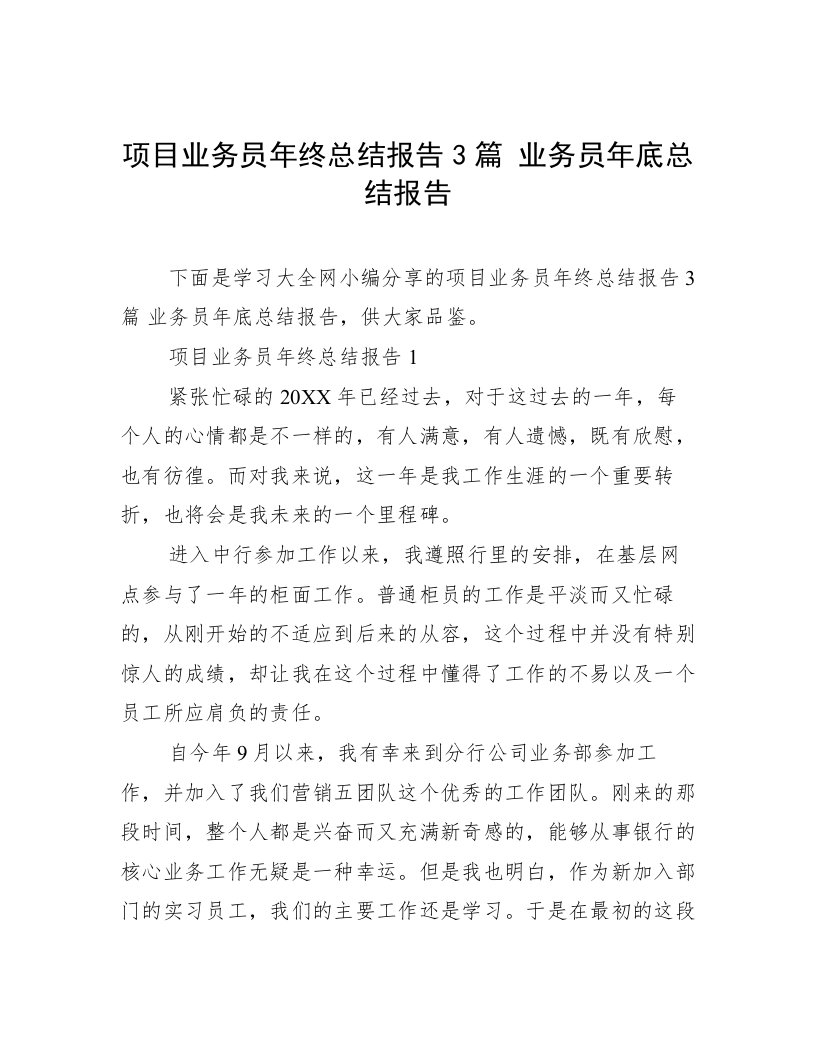 项目业务员年终总结报告3篇