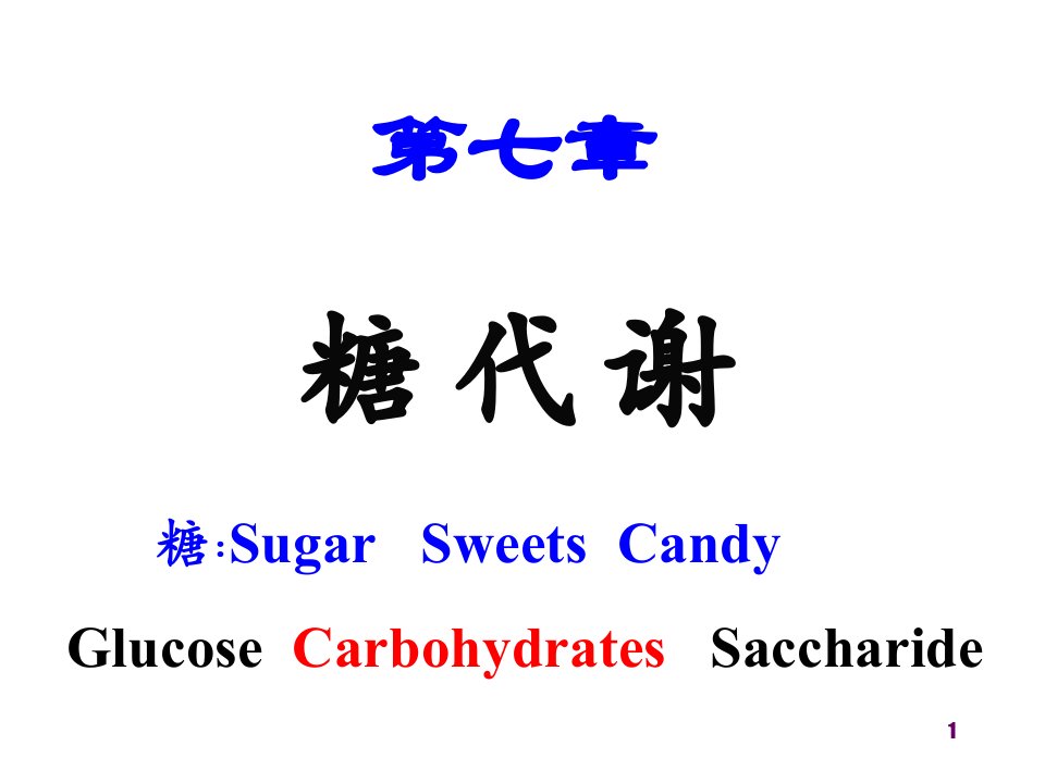 （生物化学教学ppt课件）第7章