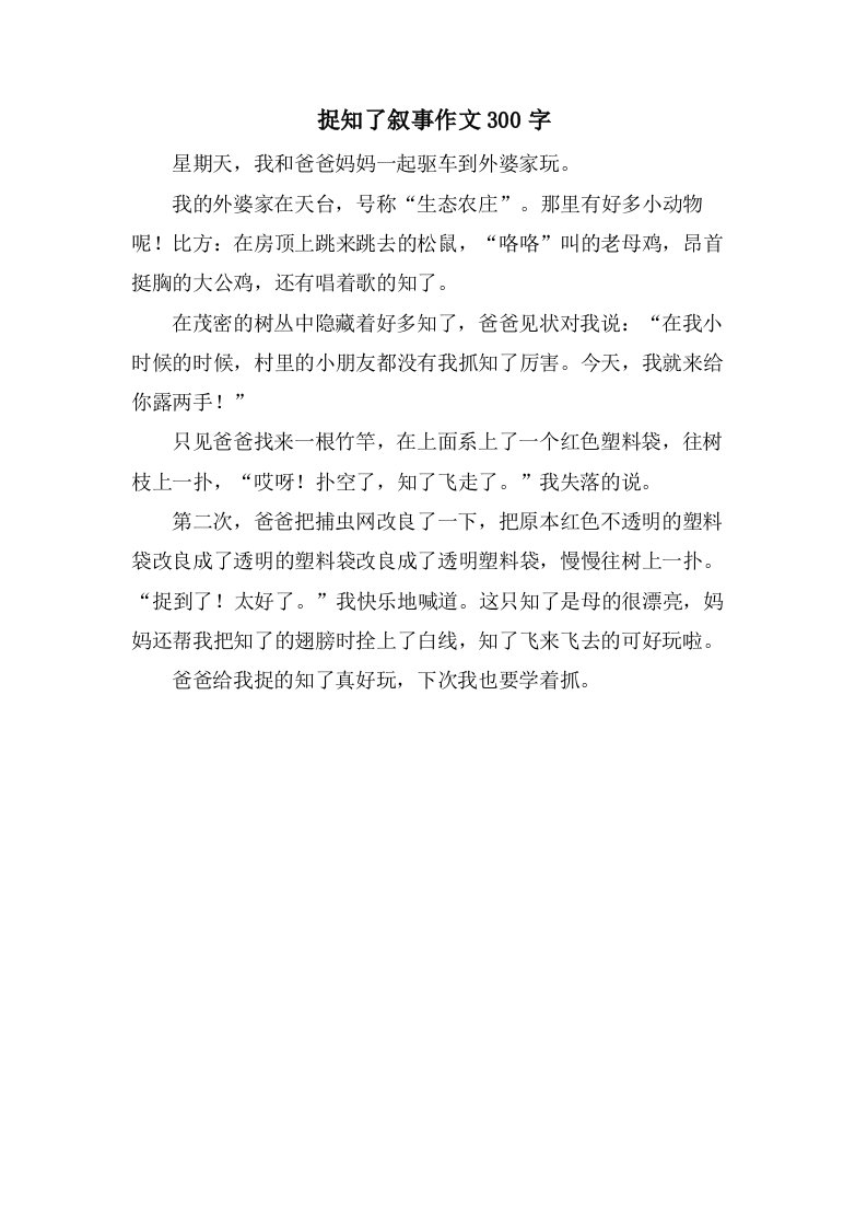 捉知了叙事作文300字