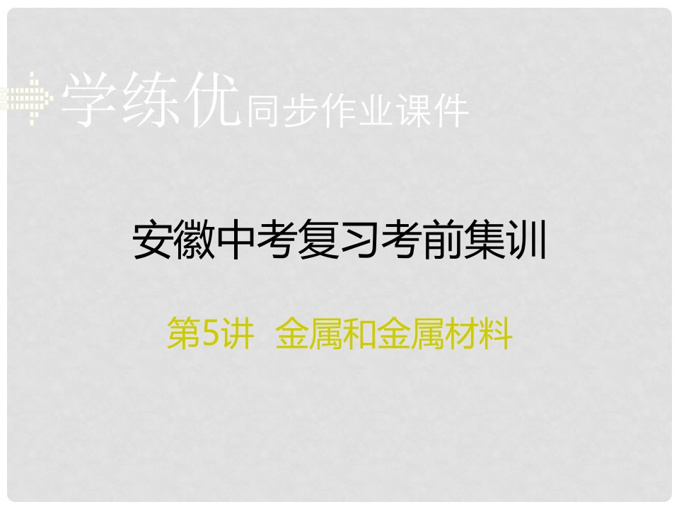 安徽省中考化学考前集训复习