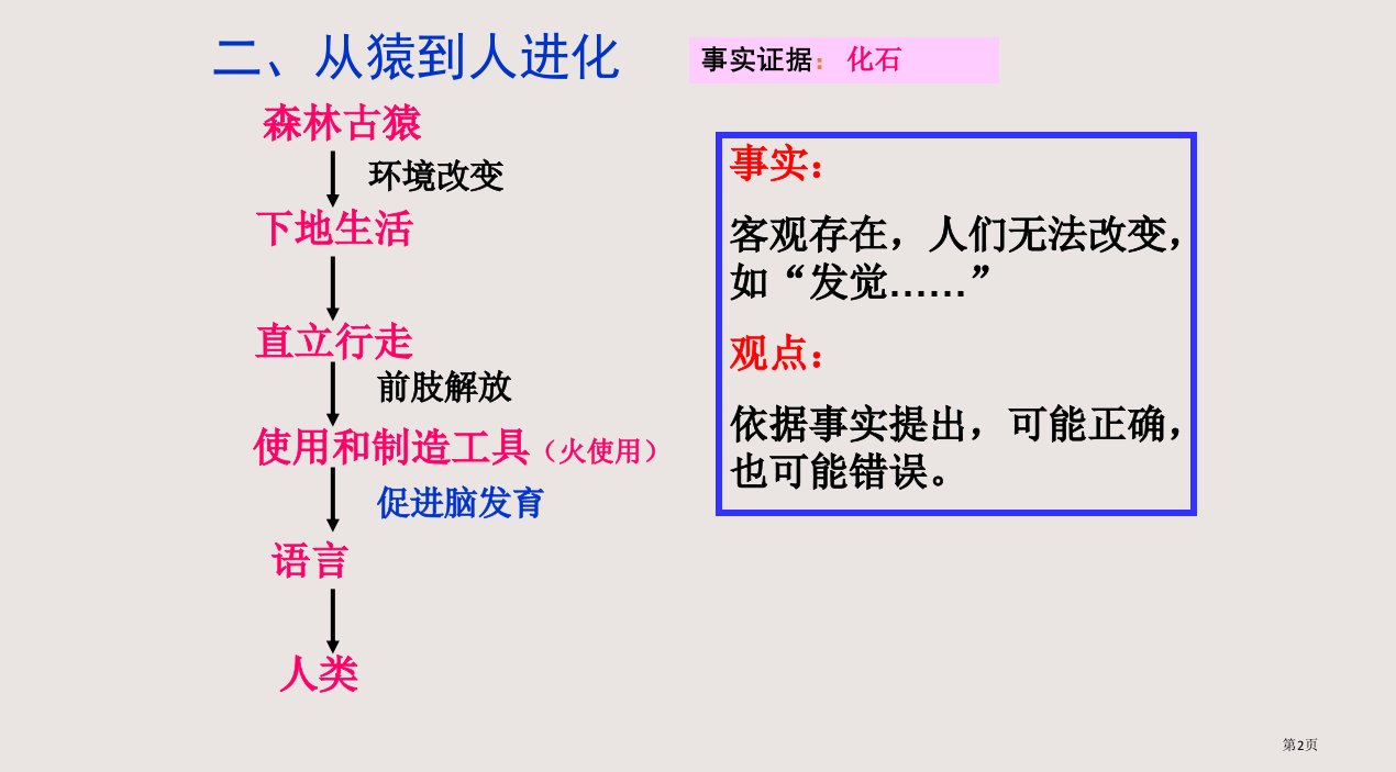 初一生物下册要点复习市公开课一等奖省优质课获奖课件