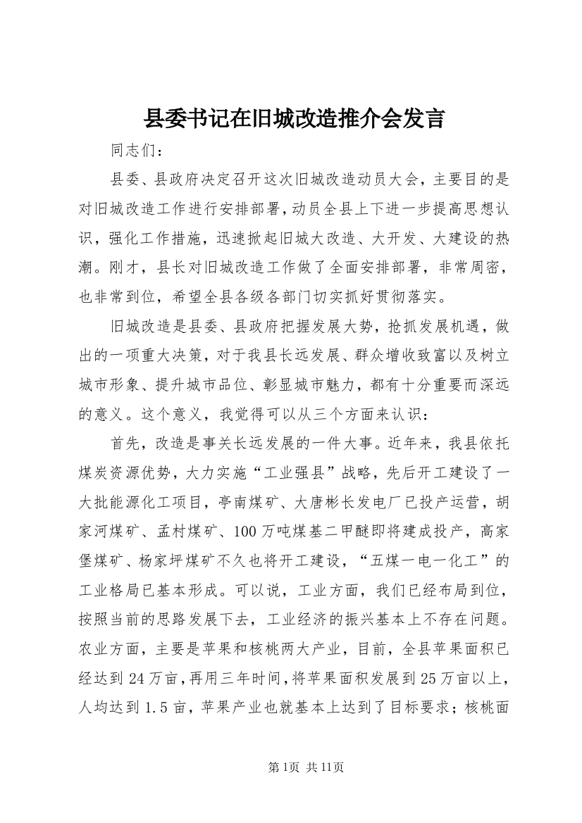 县委书记在旧城改造推介会发言