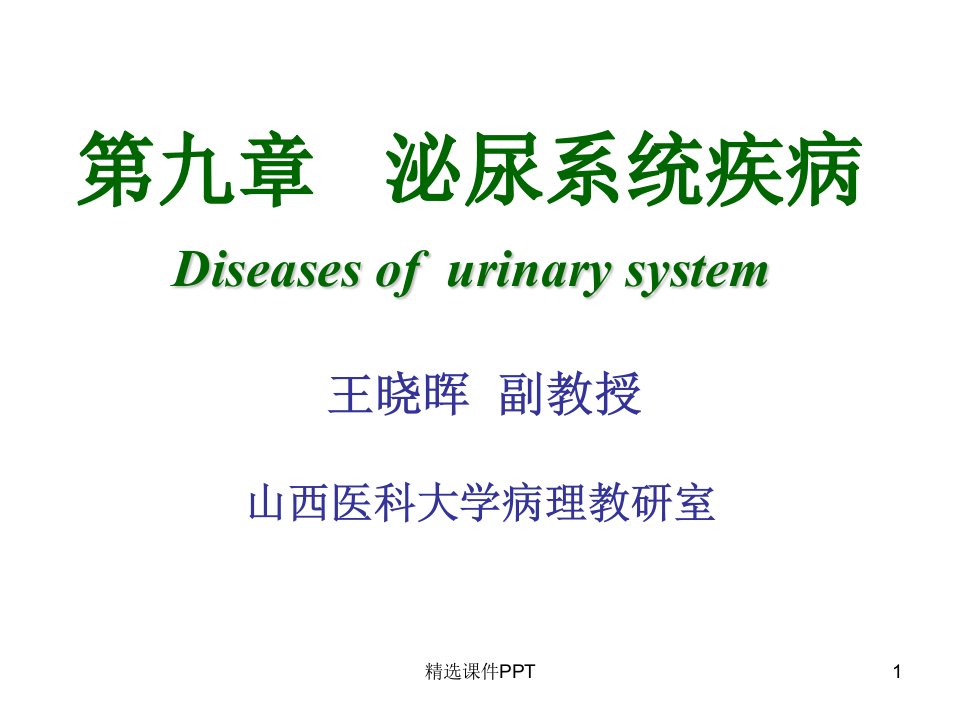 病理学精-肾小球肾炎ppt课件