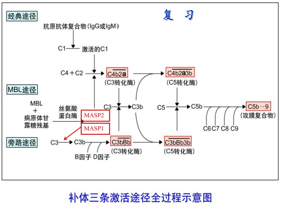 第6章