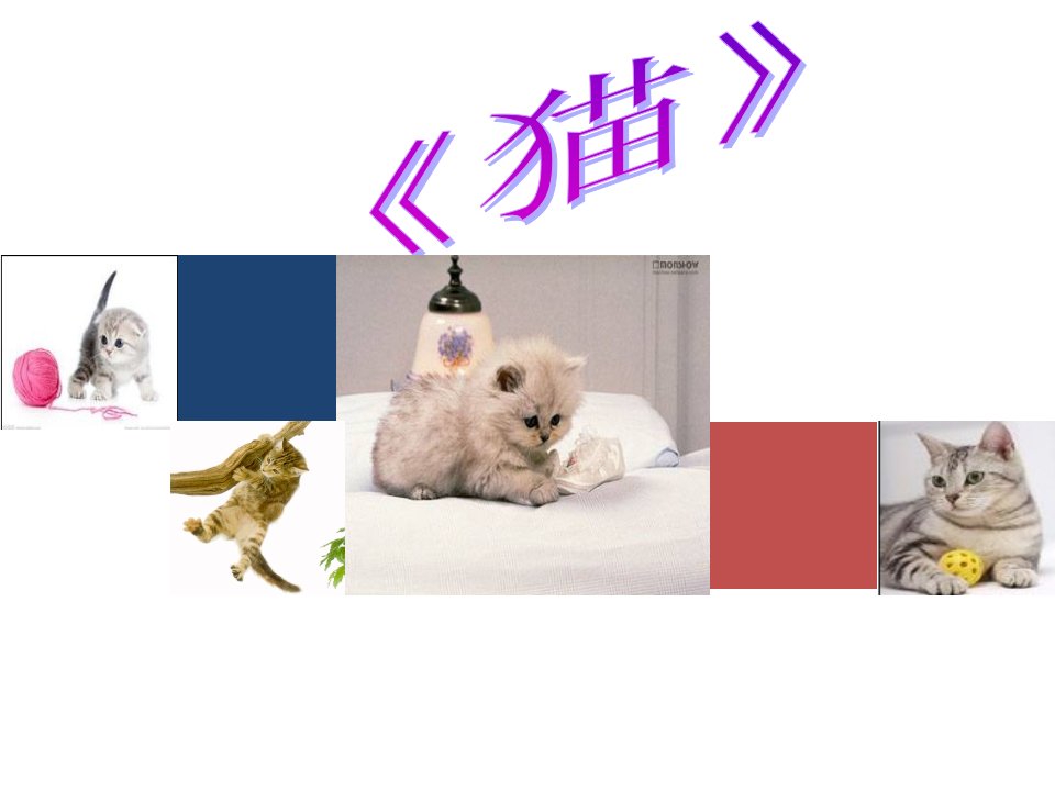 《猫》说课稿PPT课件