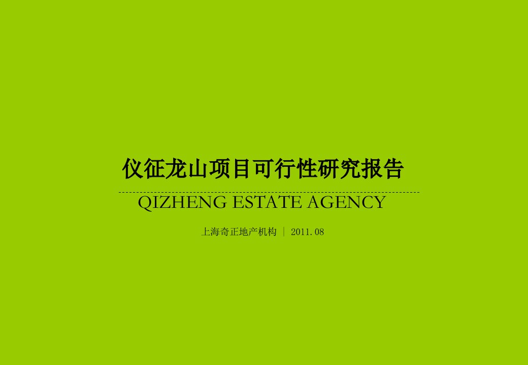 110823-仪征龙山项目可行性报告2稿