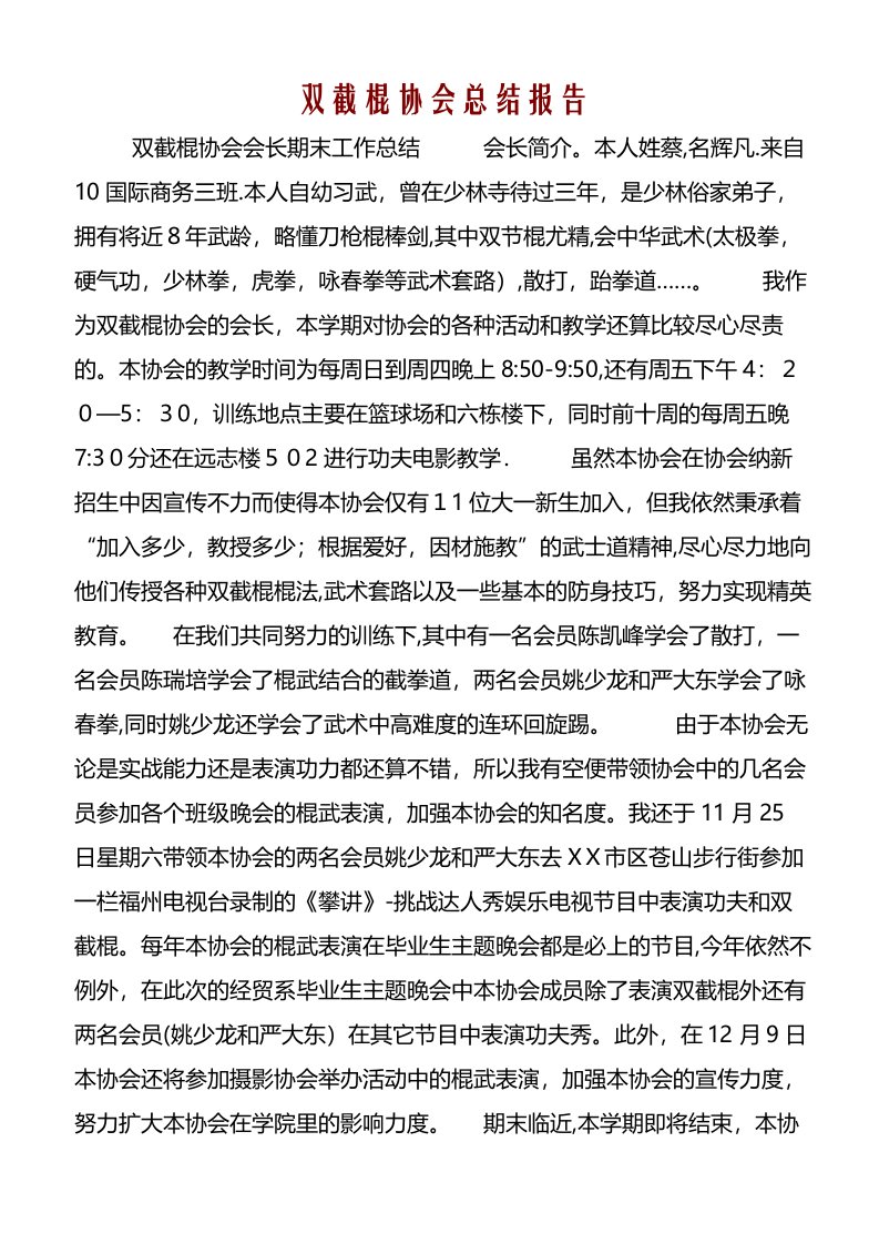 双截棍协会总结报告