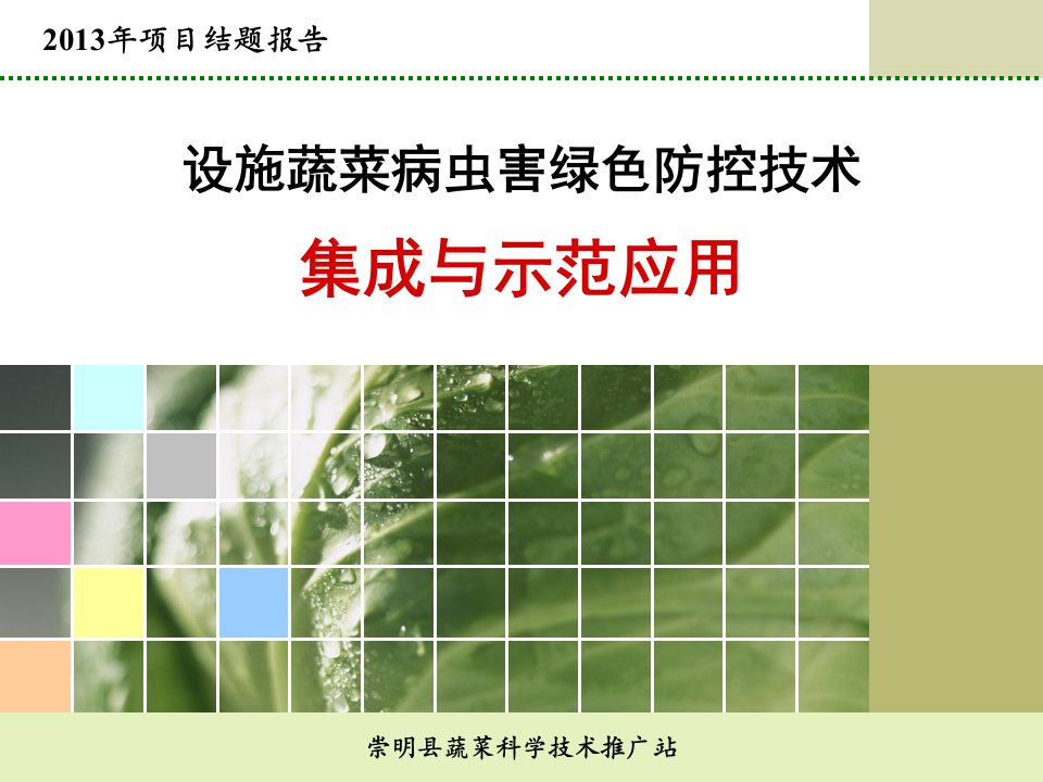 设施蔬菜病虫害绿色防控技术集成与示范应用