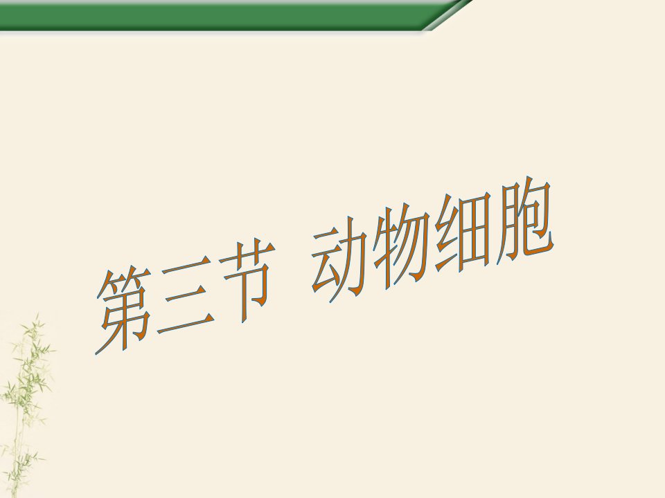 生物人教版七年级上册动物细胞课件