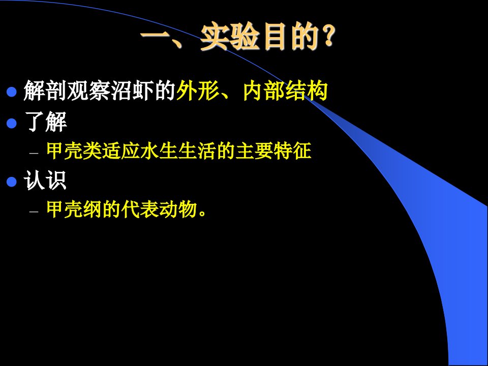 动物学实验沼虾解剖