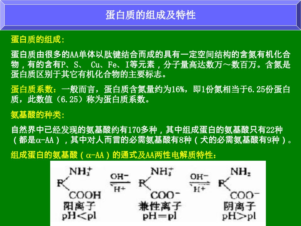 十章蛋白质和氨基酸的测定