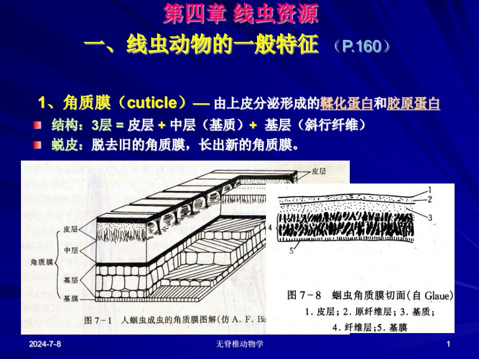 第4-5章线虫轮虫资源09-9-27