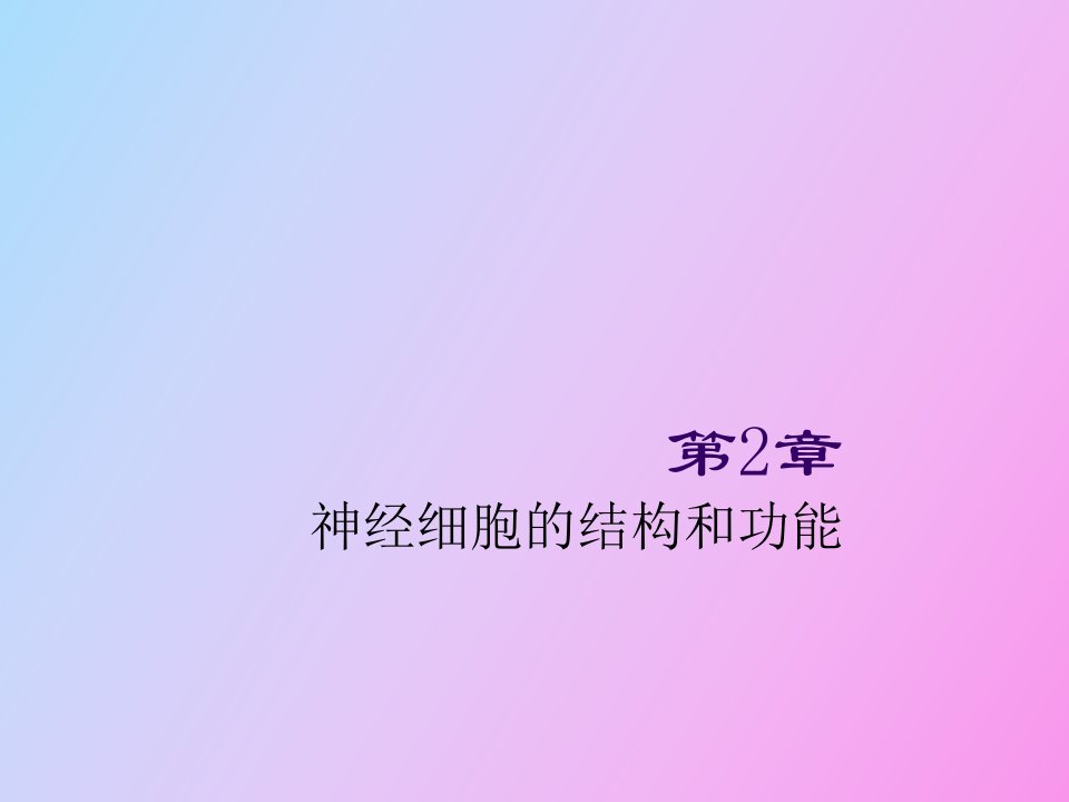 神经元结构与功能