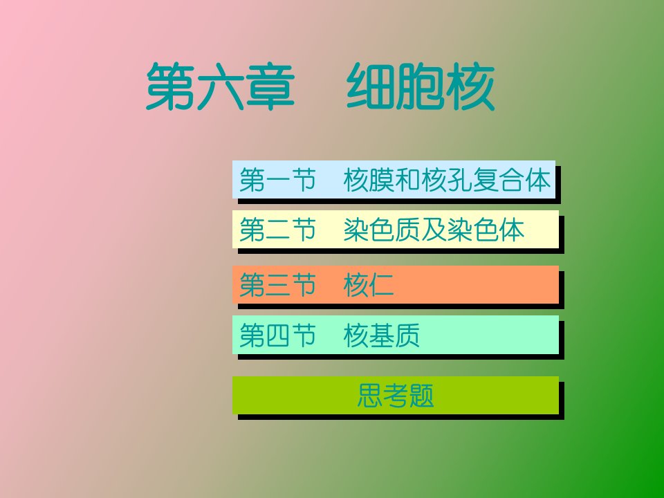 细胞核多媒体