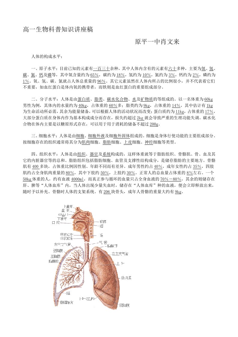 人体的构成水平