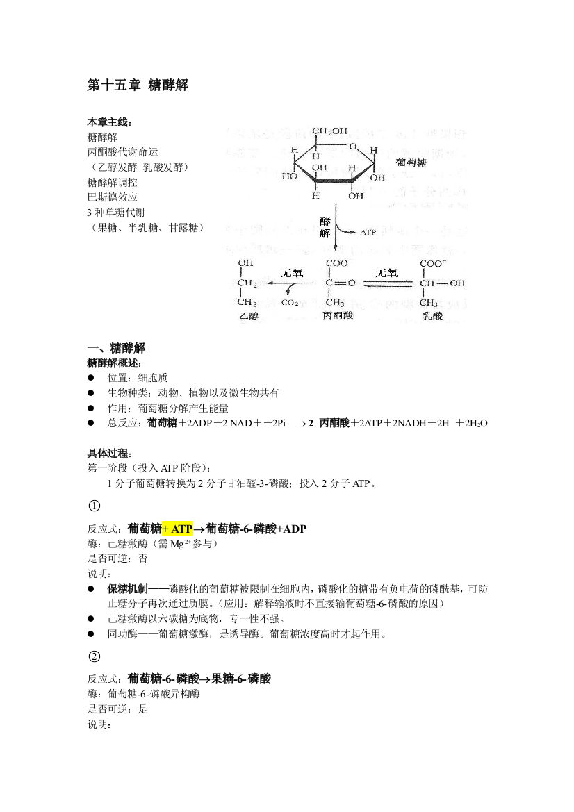 生物化学原理-