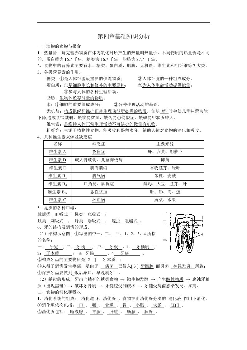 浙教版科学九上《第4章