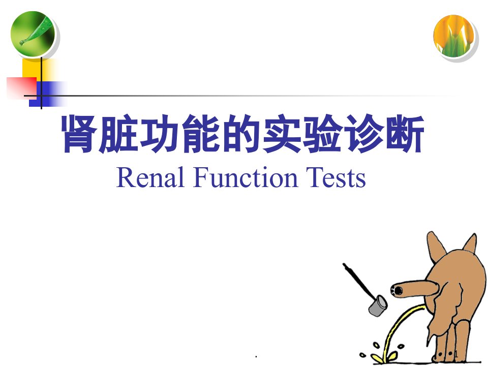 肾功能检查演示ppt课件