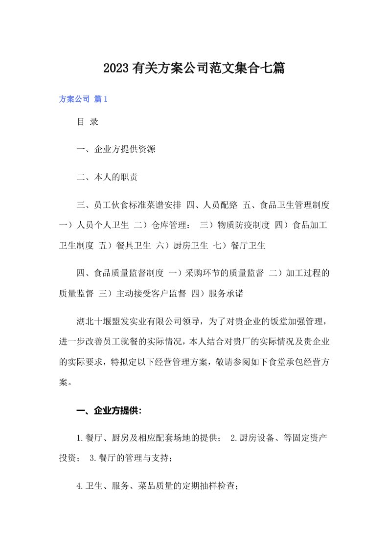 2023有关方案公司范文集合七篇