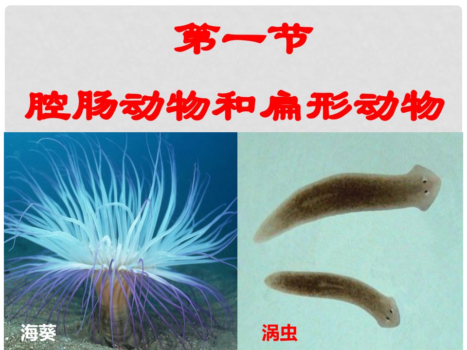 辽宁省凌海市八年级生物上册