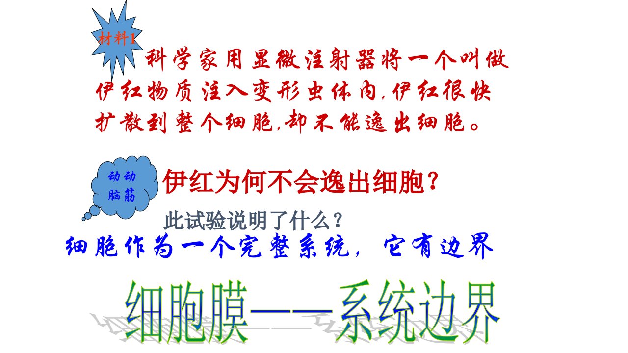 一轮复习生物细胞膜和细胞核市公开课一等奖省名师优质课赛课一等奖课件