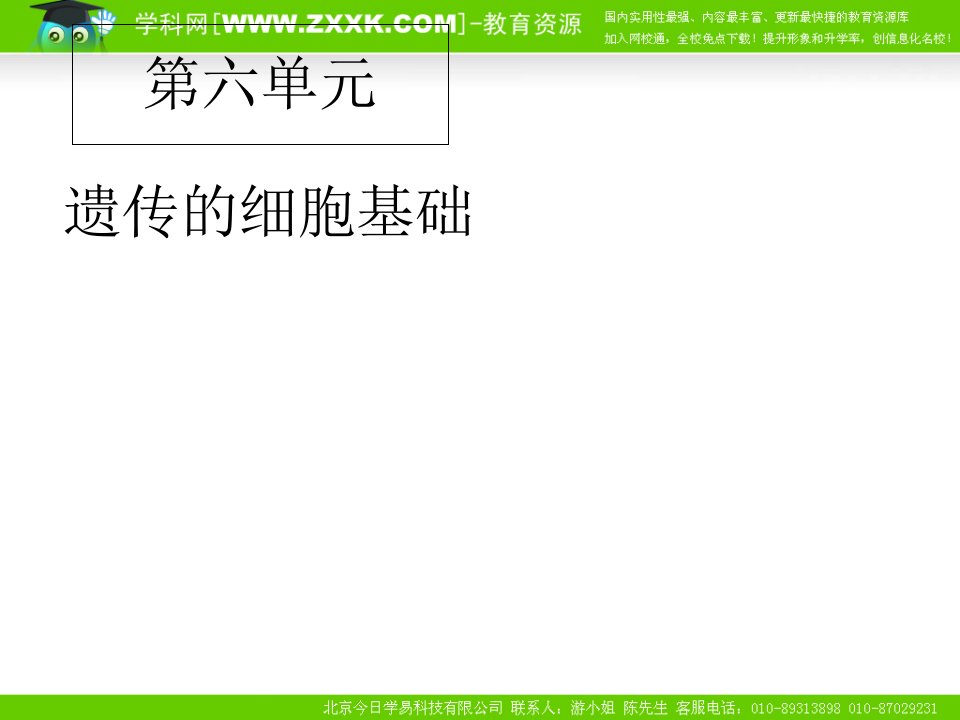 人教版生物一轮复习集(必修2部分6-11单元)课件