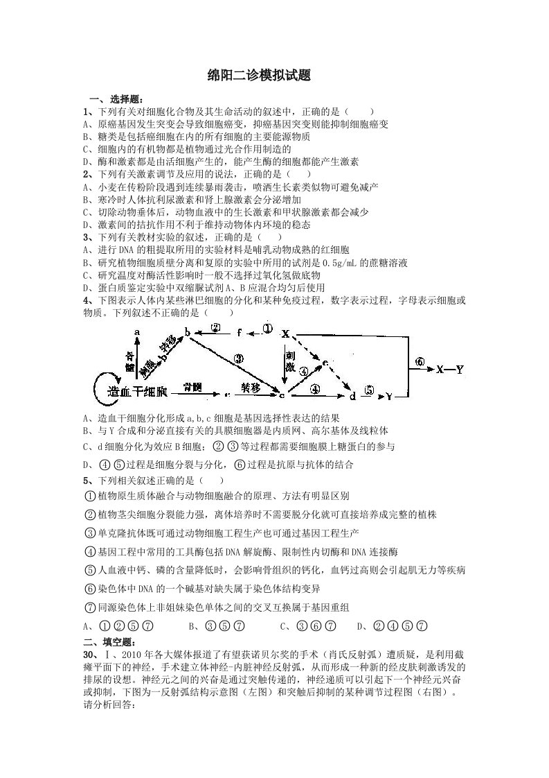 绵阳二诊模拟试题2