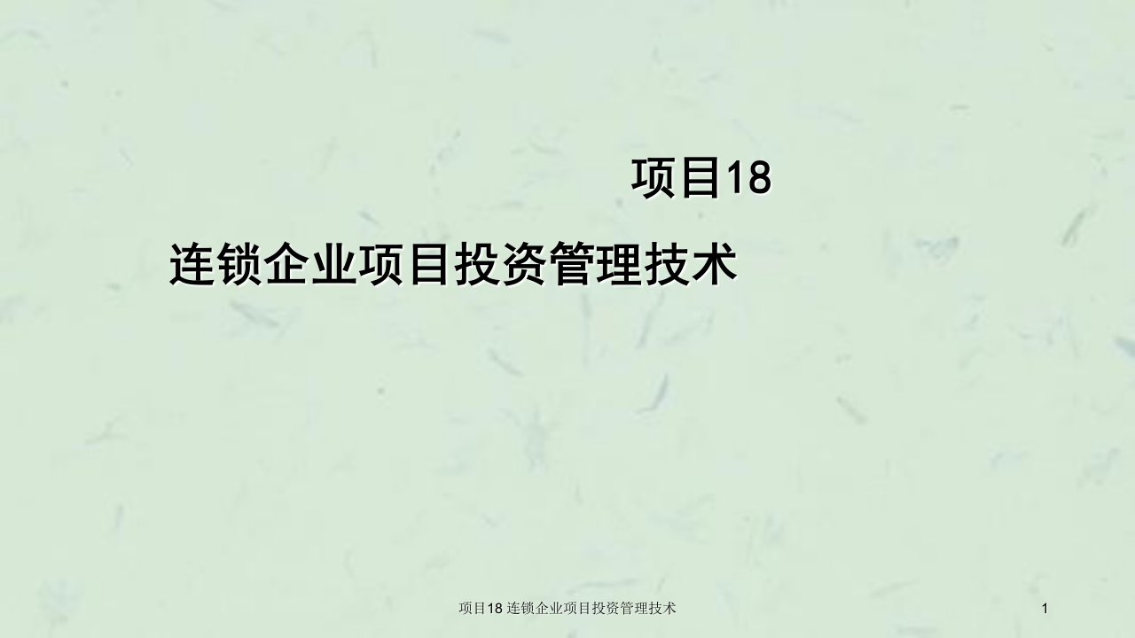 项目18连锁企业项目投资管理技术课件