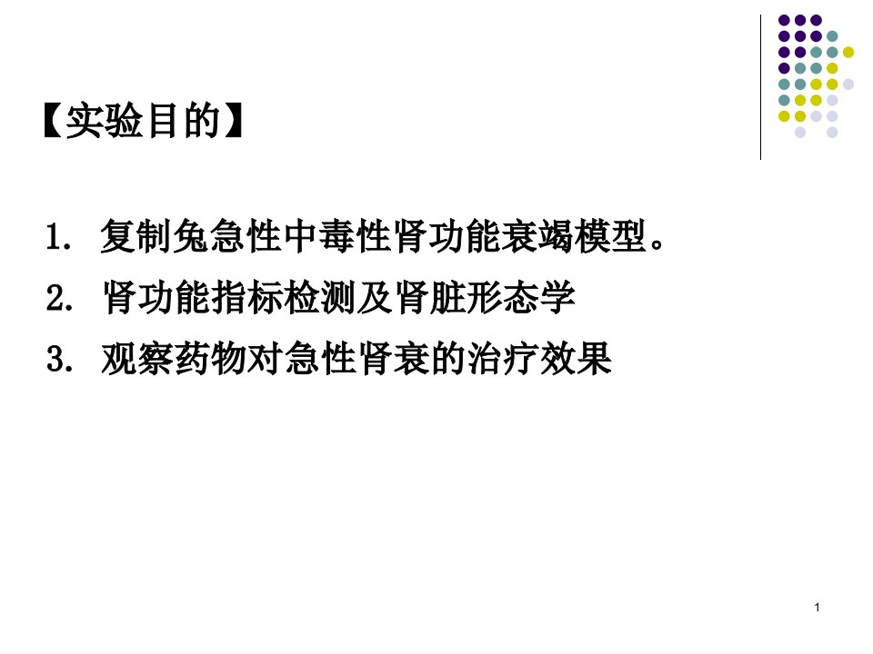 急性肾衰及药物的影响陈文亮