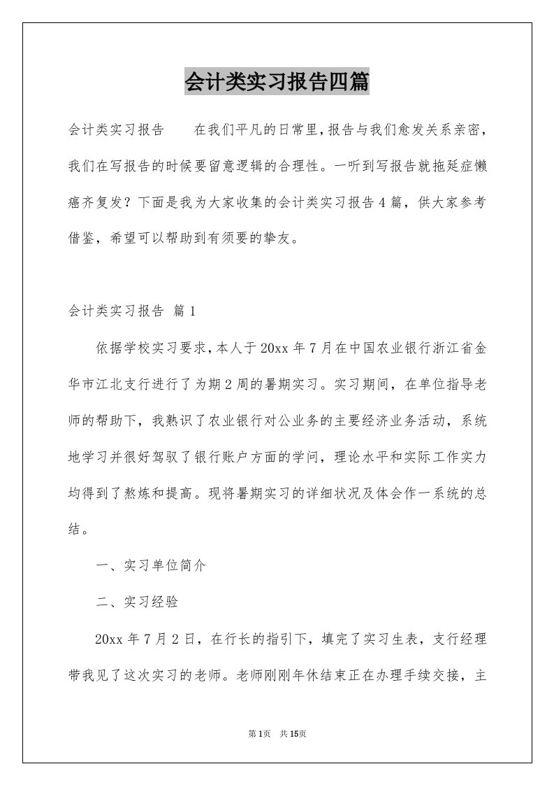 会计类实习报告四篇例文4