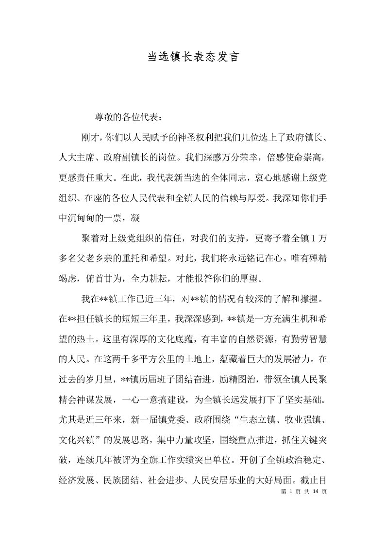 当选镇长表态发言二