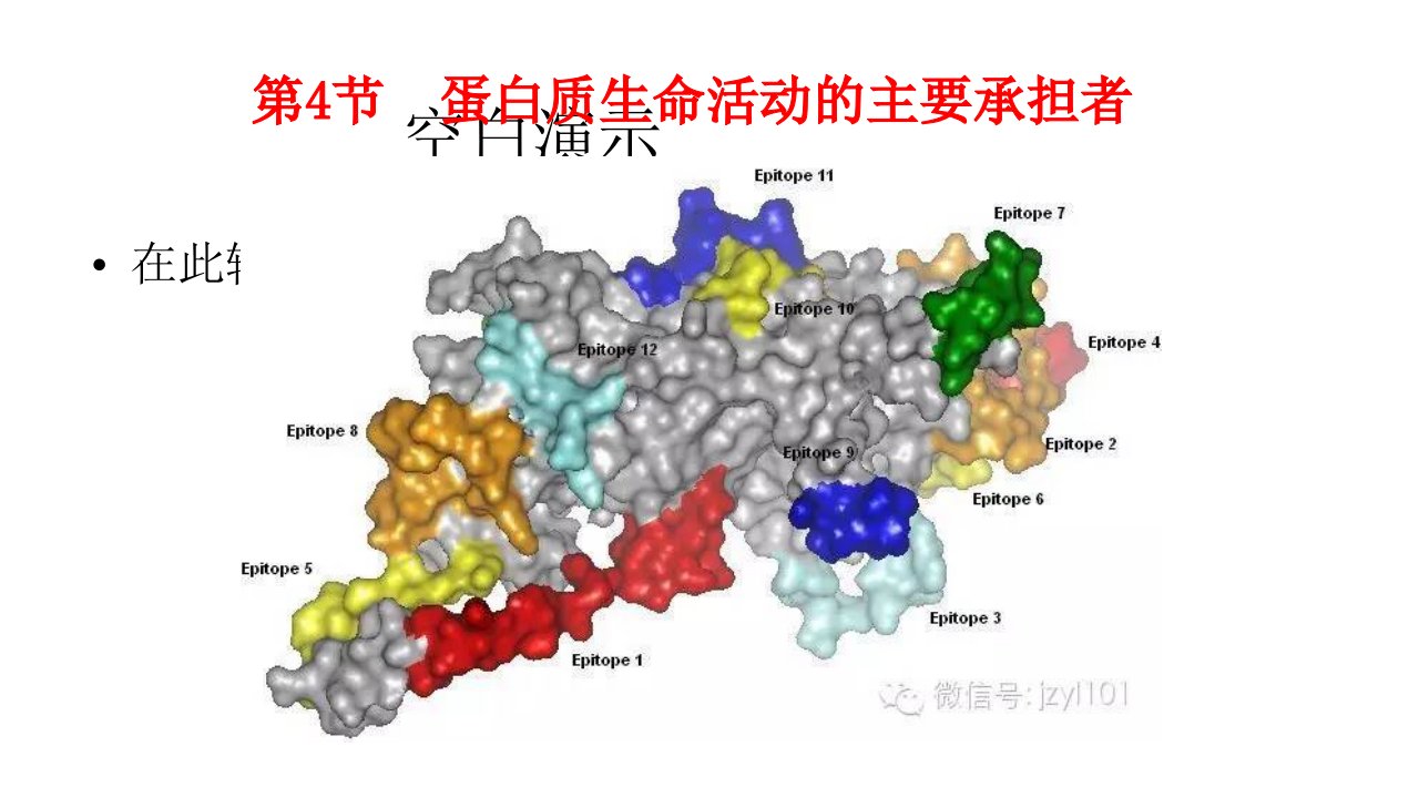 高一生物必修一第二章第4节蛋白质生命活动的主要承担者课件