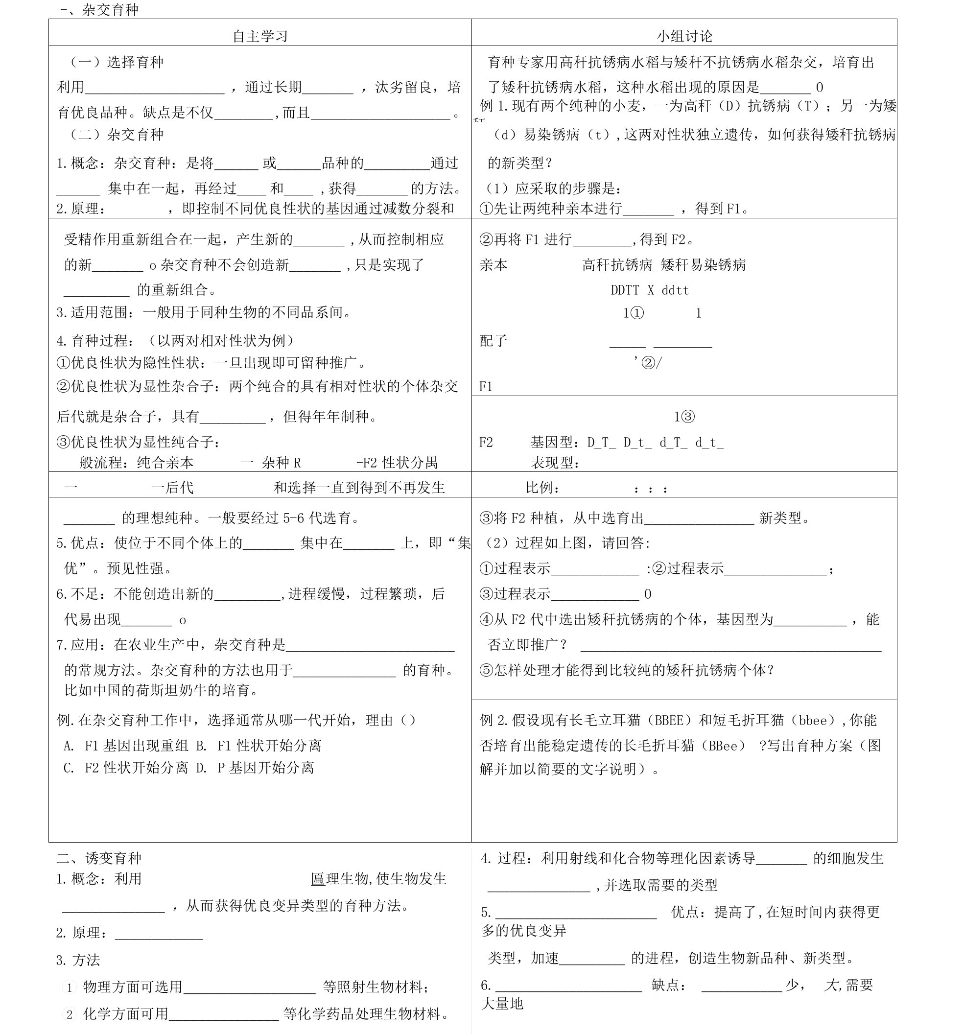 杂交育种与诱变育种学案