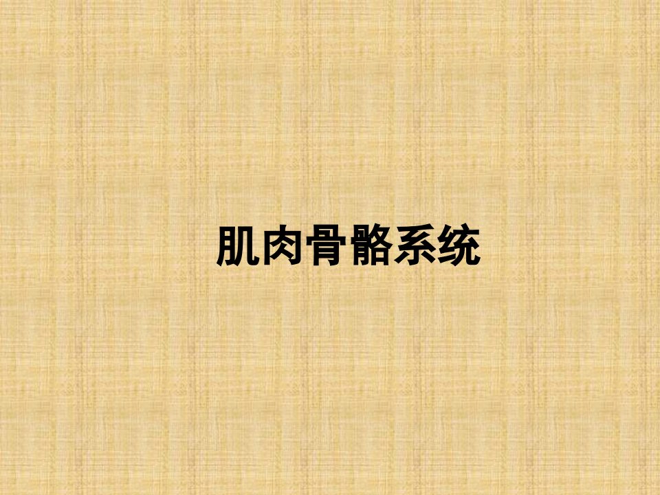 优质医学肌肉骨骼疾病超声诊断