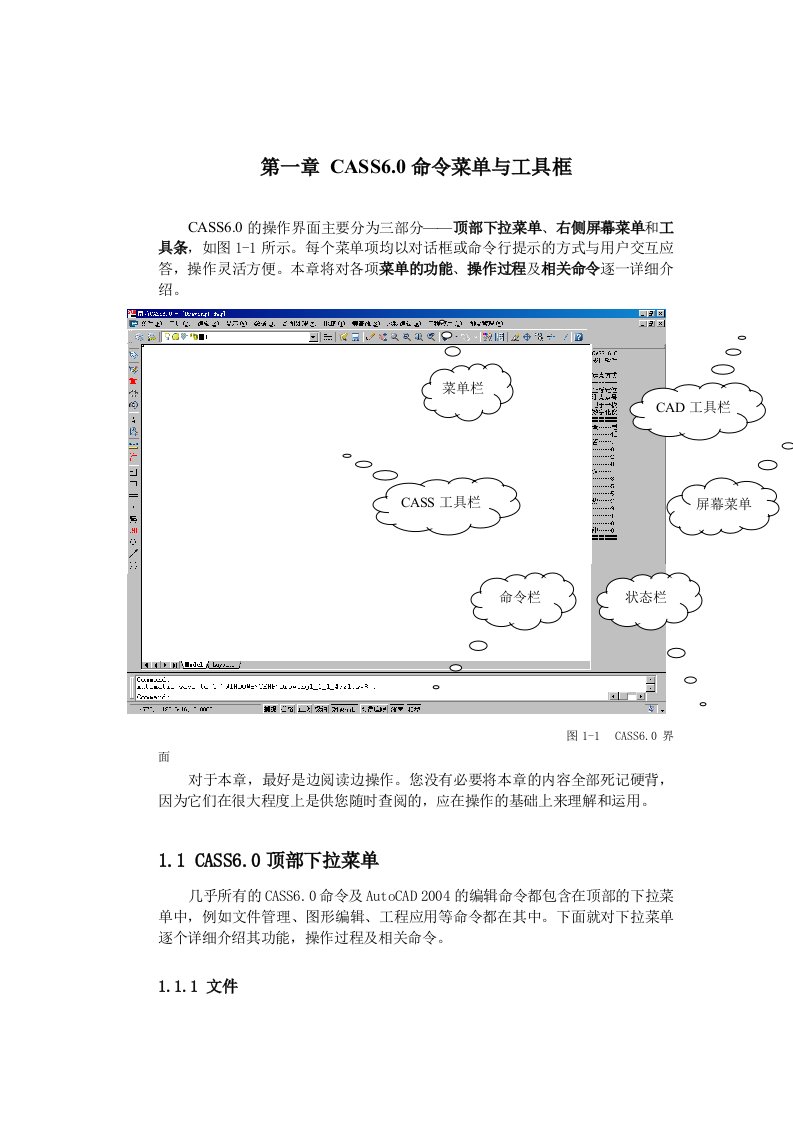 CASS用户参考手册