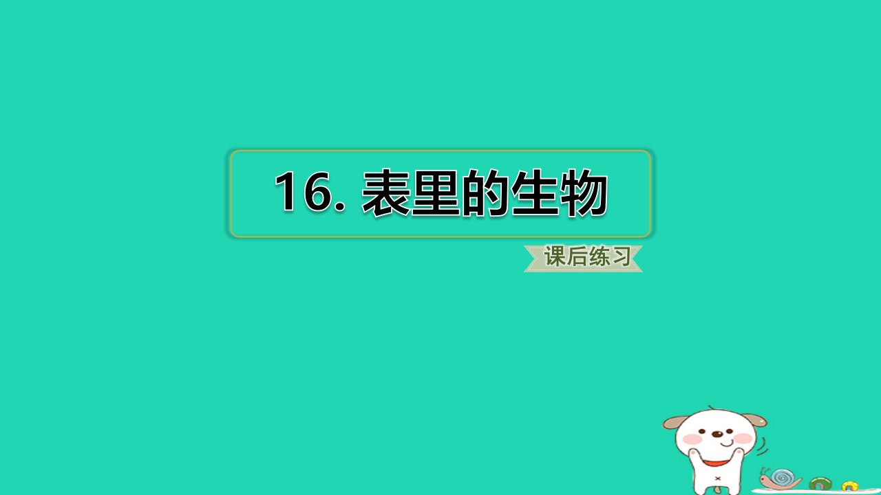 浙江省2024六年级语文下册第五单元16表里的生物课件新人教版