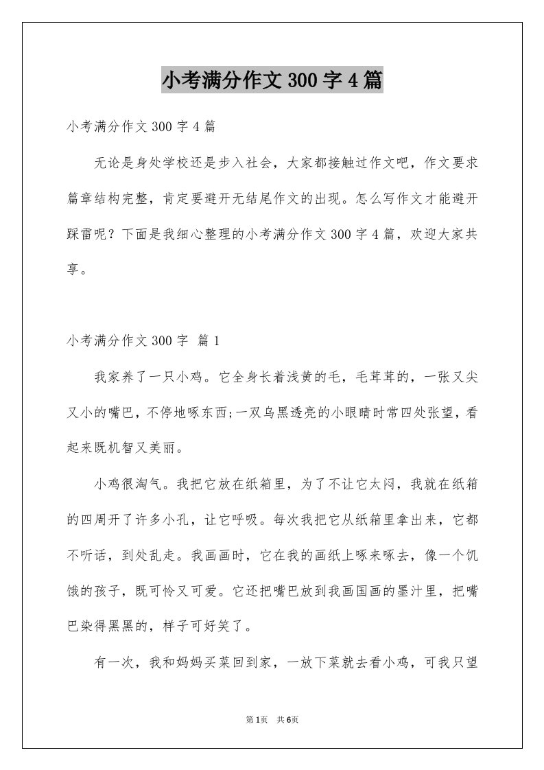 小考满分作文300字4篇