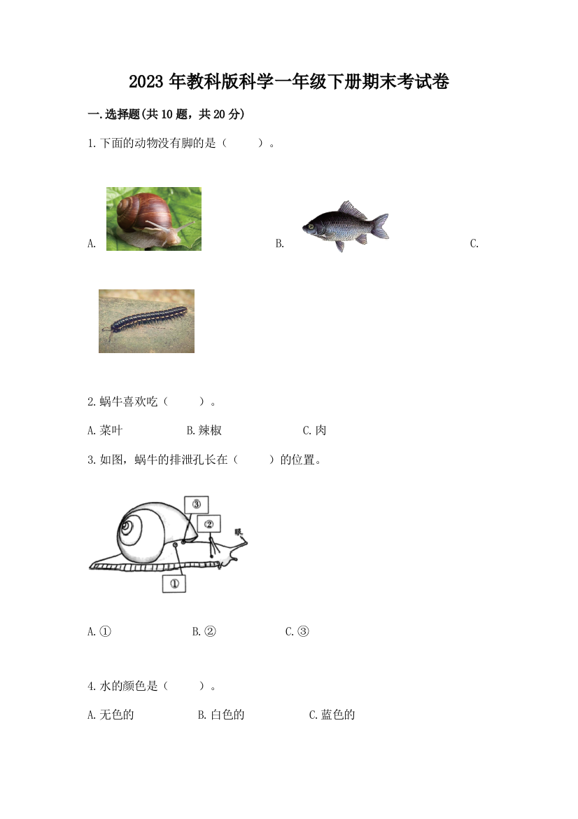 2023年教科版科学一年级下册期末考试卷及完整答案1套