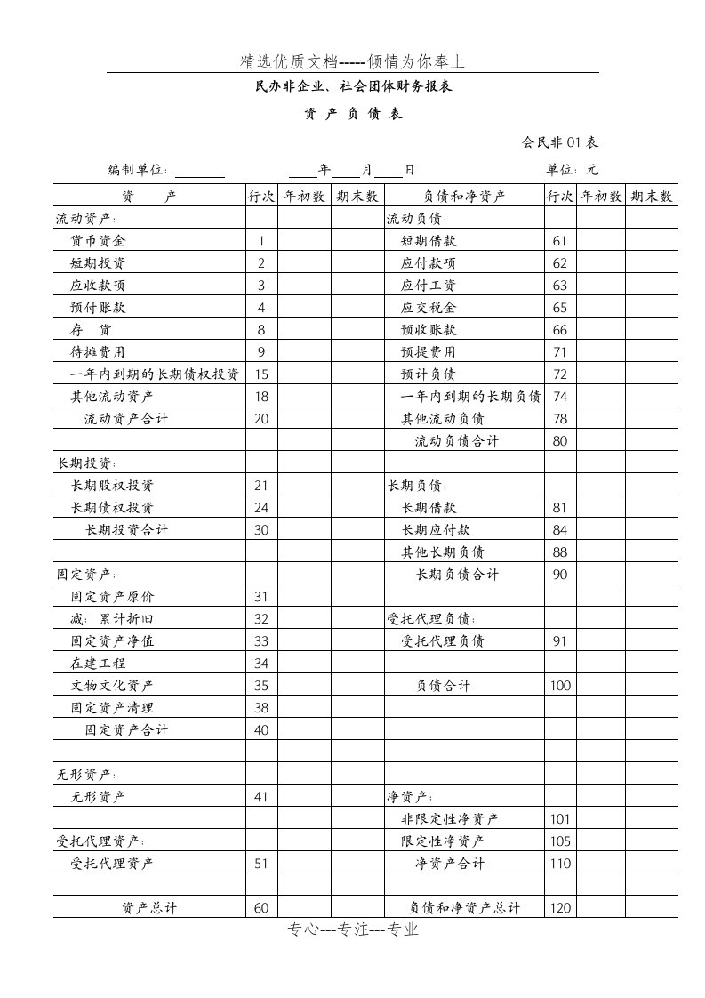 民办非企业单位、社会团体财务报表(共6页)