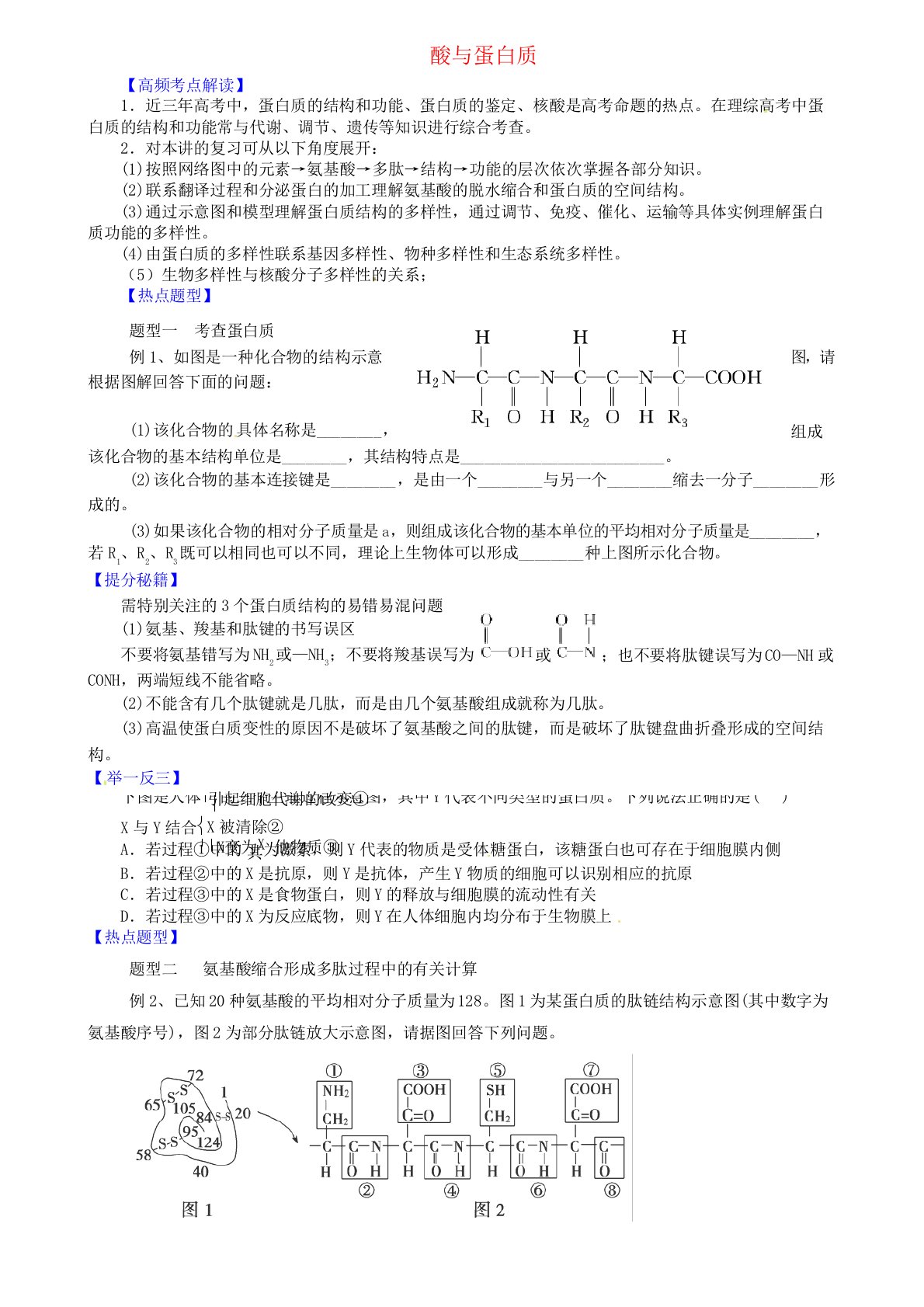 中学高三生物一轮复习专题酸与蛋白质导学案