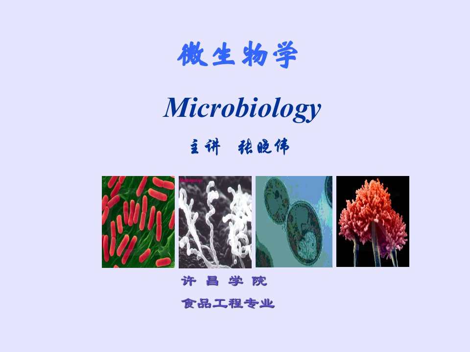 微生物学第一章前言